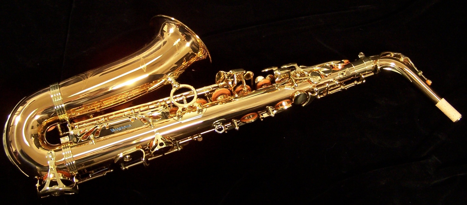 Yanagisawa AWO2 Bronze Professional Alto Sax Kessler & Sons Music