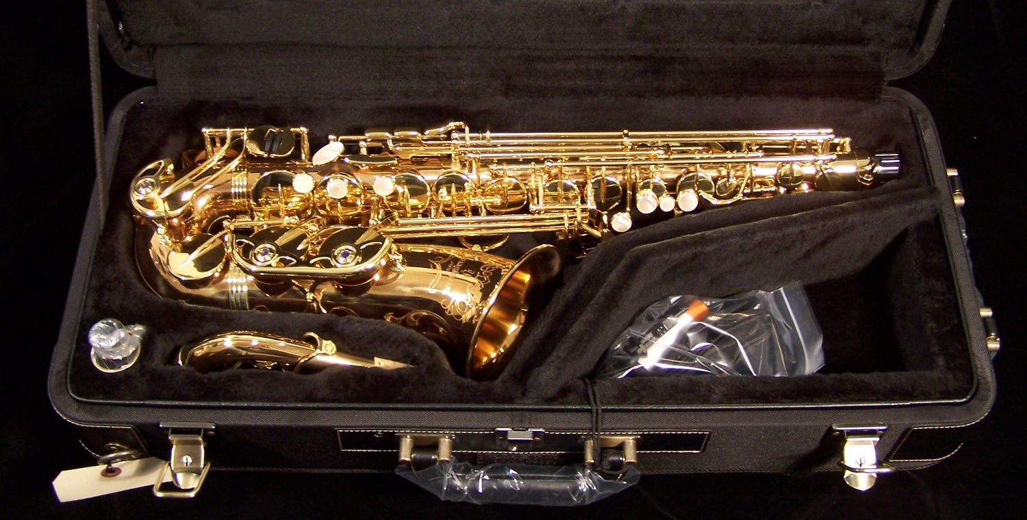 Yanagisawa AWO20 Bronze Alto Saxophone Elite Series