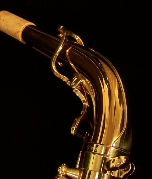 Yanagisawa AWO20 Bronze Alto Saxophone Elite Series